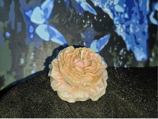 Peony Drip Collection