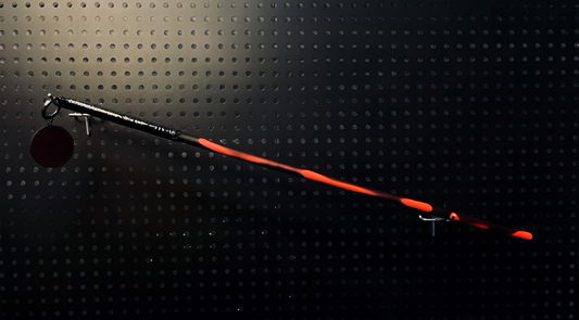 Spank Master – HeatShift Discipline Cane