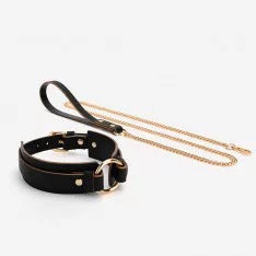 Golden Tether –– Collar & Leash Set